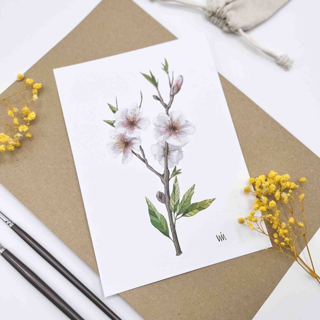 ilustración en acuarela de almendro en flor