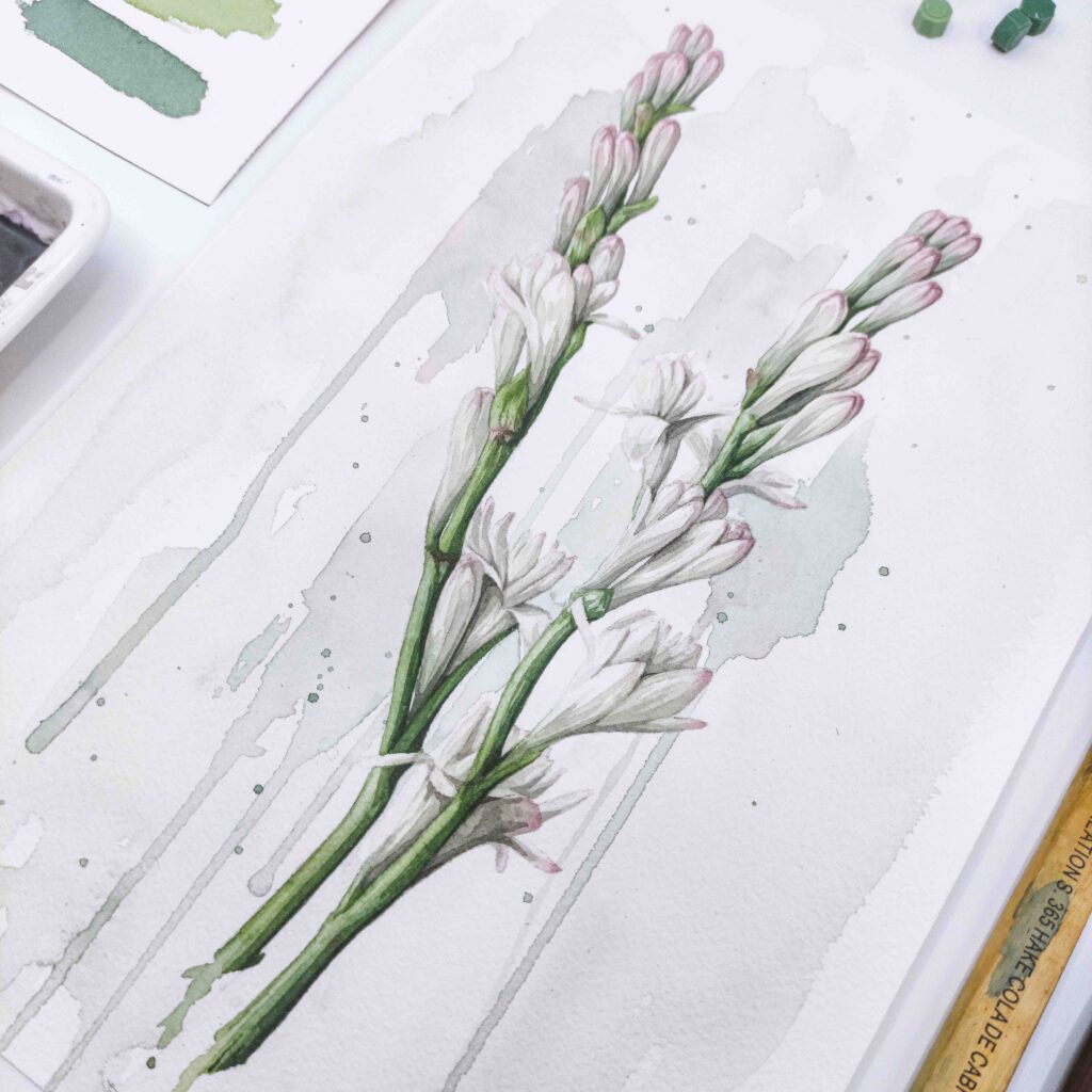 NARDO-2-1_reescalado