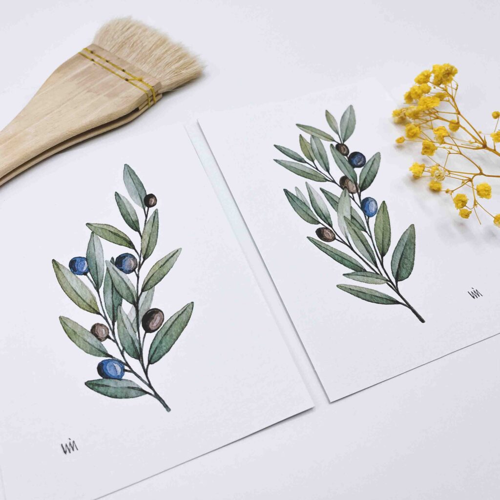 duo de ilustraciones de ramas de olivo